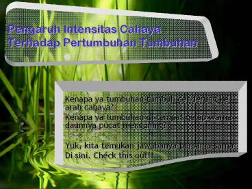 Pengaruh Intensitas Cahaya Terhadap Pertumbuhan Tumbuhan