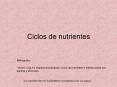 Ciclos de nutrientes PowerPoint PPT Presentation