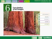 CIENCIAS DE LA NATURALEZA 1.