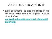LA CELULA EUCARIONTE