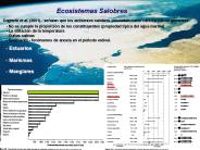 Cognetti et al. (2001).- se