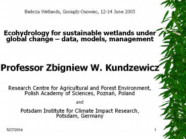 Biebrza Wetlands, Goniadz-Osowiec, 12-14 June 2003