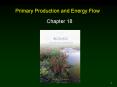Primary Production and Energy Flow PowerPoint PPT Presentation