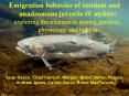 Emigration behavior of resident and anadromous juvenile O. mykiss: exploring the interaction among genetics, physiology and habitat PowerPoint PPT Presentation
