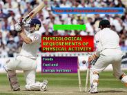 Year 12 Physical Education