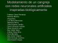 Modelamiento de un cangrejo con redes neuronales artificiales inspiradas biol PowerPoint PPT Presentation