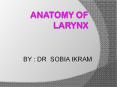 ANATOMY OF Larynx PowerPoint PPT Presentation