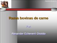 Razas bovinas de carne