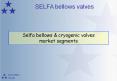 Selfa bellows PowerPoint PPT Presentation