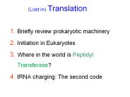 (Lost in) Translation