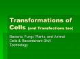 Transformations of Cells (and Transfections too) PowerPoint PPT Presentation