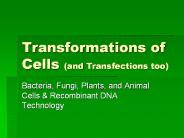 Transformations of Cells (and Transfections too)