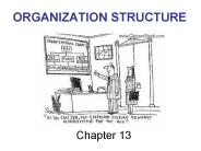 ORGANIZATION STRUCTURE