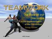 The Role of our Discipline
