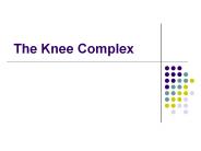The Knee Complex