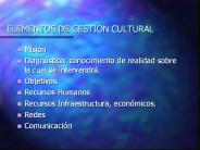 ELEMENTOS DE GESTION CULTURAL