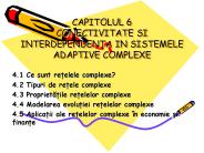 CAPITOLUL 6 CONECTIVITATE SI INTERDEPENDENTA IN SISTEMELE ADAPTIVE COMPLEXE