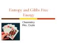 Entropy and Gibbs Free Energy PowerPoint PPT Presentation