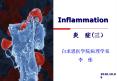 Inflammation PowerPoint PPT Presentation