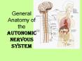 General Anatomy of the Autonomic Nervous System PowerPoint PPT Presentation