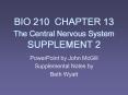 BIO 210 CHAPTER 13  The Central Nervous System  SUPPLEMENT 2 PowerPoint PPT Presentation