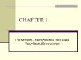 The Modern Organization in the Global, Web-Based Environment PowerPoint PPT Presentation