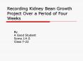 Recording Kidney Bean Growth Project Over a Period of Four Weeks PowerPoint PPT Presentation