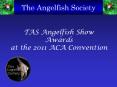TAS Angelfish Show Awards at the 2011 ACA Convention PowerPoint PPT Presentation