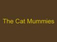 The Cat Mummies PowerPoint PPT Presentation