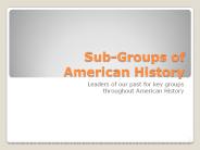 Sub-Groups of American History