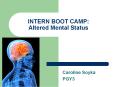 INTERN BOOT CAMP: Altered Mental Status PowerPoint PPT Presentation