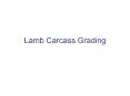 Lamb Carcass Grading PowerPoint PPT Presentation