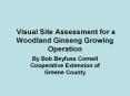 Visual Site Assessment for a Woodland Ginseng Growing Operation PowerPoint PPT Presentation