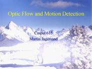 Optic Flow and Motion Detection