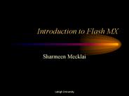 Introduction to Flash MX