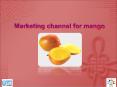 Marketing channel for mango PowerPoint PPT Presentation