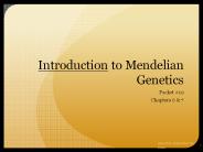 Introduction to Mendelian Genetics