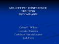 AML/CFT PRE CONFERENCE TRAINING 2007 CAIB AGM PowerPoint PPT Presentation