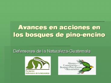 Avances en acciones en los bosques de pino-encino