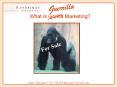 What is Gorilla Marketing? PowerPoint PPT Presentation