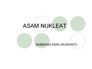 ASAM NUKLEAT