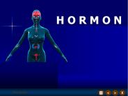 H O R M O N