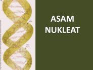 ASAM NUKLEAT