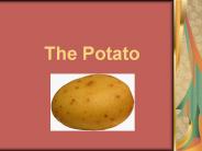 The Potato