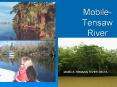 Mobile-Tensaw River Delta PowerPoint PPT Presentation