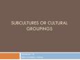 Subcultures or cultural groupings PowerPoint PPT Presentation