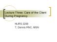 Lecture Three: Care of the Client During Pregnancy PowerPoint PPT Presentation