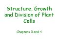 Structure, Growth and Division of Plant Cells  Chapters 3 and 4 PowerPoint PPT Presentation