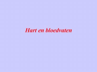 Hart en bloedvaten