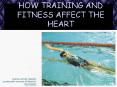 HOW TRAINING AND FITNESS AFFECT THE HEART PowerPoint PPT Presentation